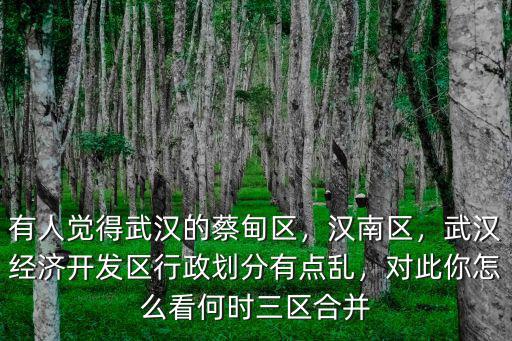 武漢經濟開發區怎么擇校,武漢經濟開發區怎么樣