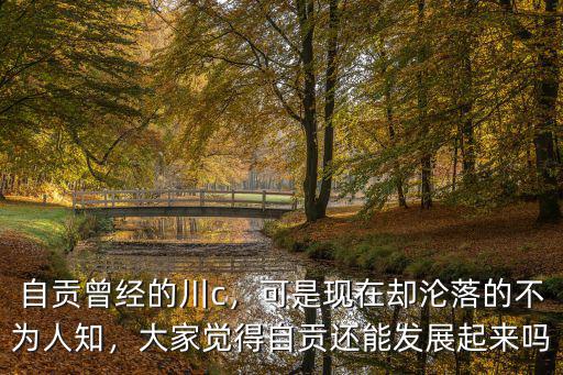 自貢哪里發展的最好,自貢曾經的川c