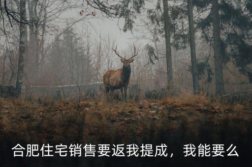 合肥買房提成率多少,合肥現在買房提成到底有多少