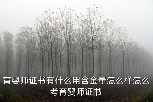 2020湖北育嬰師考證怎么收費,怎么考育嬰師證書