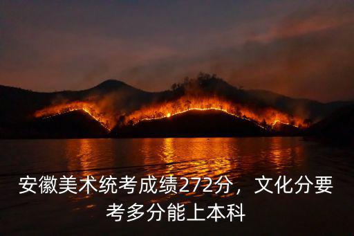 安徽學(xué)藝考文化課需要多少分,安徽美術(shù)統(tǒng)考成績(jī)272分