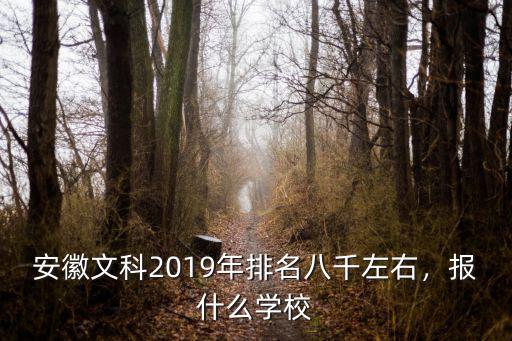 安徽2018年578排名多少文科,2018年安徽文科518分