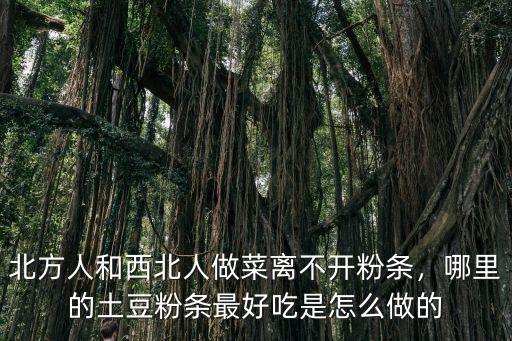 恩施土豆粉皮怎么做的,怎樣在家制作土豆粉皮