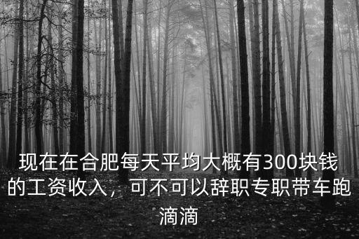 現在在合肥每天平均大概有300塊錢的工資收入，可不可以辭職專職帶車跑滴滴