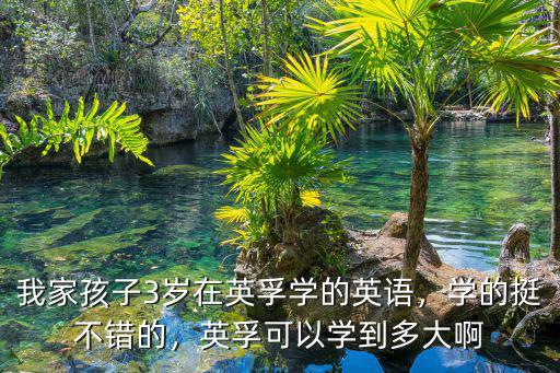 我家孩子3歲在英孚學(xué)的英語，學(xué)的挺不錯(cuò)的，英孚可以學(xué)到多大啊