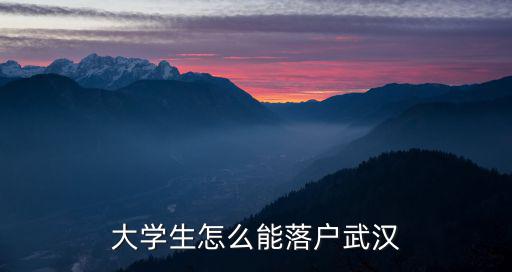 武漢大學落戶網上怎么辦理呢,大學生怎么能落戶武漢