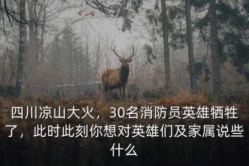 四川涼山大火，30名消防員英雄犧牲了，此時此刻你想對英雄們及家屬說些什么