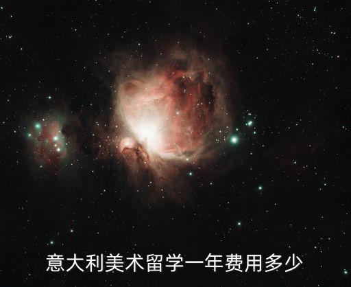 意大利美術留學一年費用多少