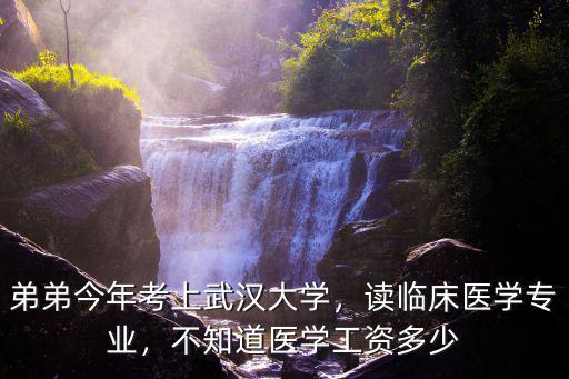 武漢大學醫學直博工資怎么樣,武大的醫學學科怎么樣