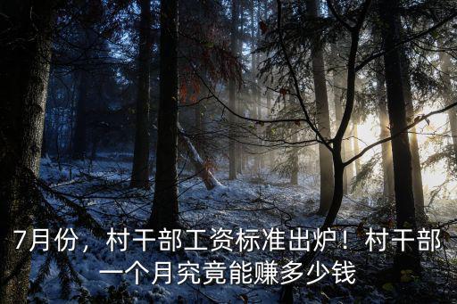 六安村干部津貼多少錢,村干部一個月究竟能賺多少錢