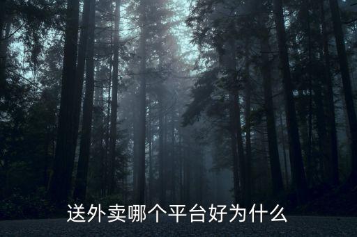 黃岡外賣配送怎么樣,鄉(xiāng)村外賣送餐服務(wù)怎么樣