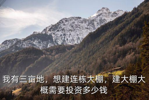 滁州連棟溫室大棚多少錢,建大棚大概需要投資多少錢