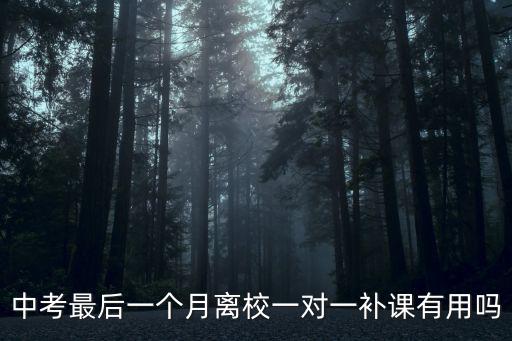 中考最后一個月離校一對一補課有用嗎