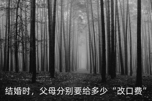 河北改口費一般多少,父母分別要給多少改口費