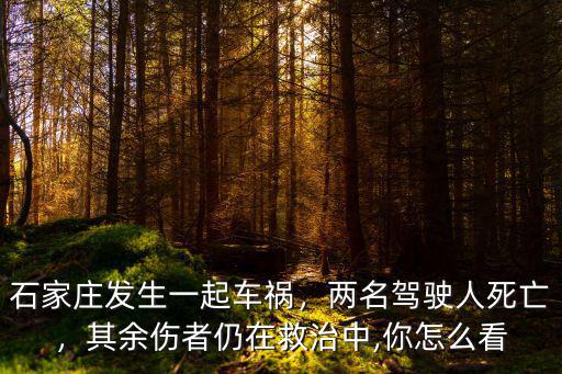 石家莊車禍死亡多少人,石家莊發生一起車禍