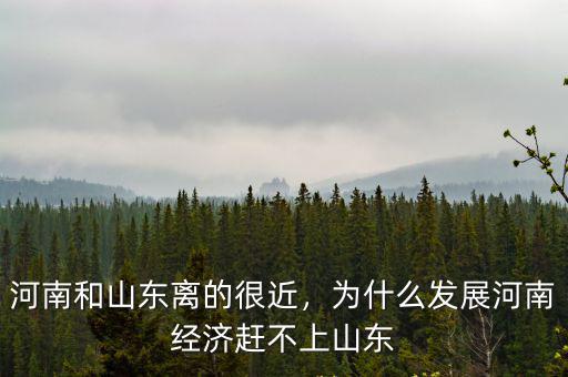 山東與河南比優(yōu)勢(shì)在哪里,河南和山東哪里經(jīng)濟(jì)發(fā)展更好