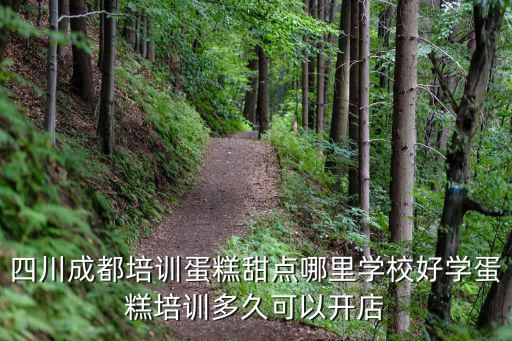 四川成都培訓蛋糕甜點哪里學校好學蛋糕培訓多久可以開店