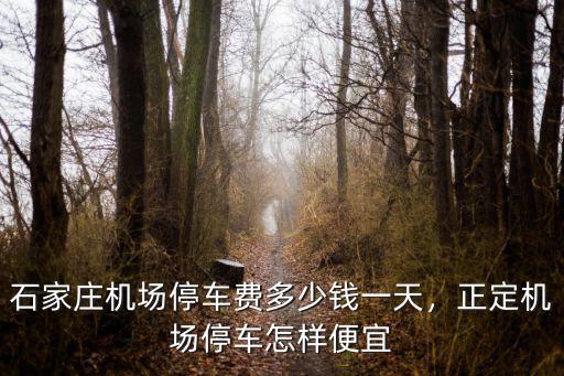石家莊機場停車費多少錢一天，正定機場停車怎樣便宜