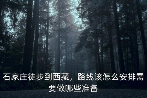 石家莊到垃薩多少公里,石家莊徒步到西藏