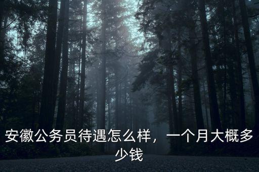 安徽民警多少錢一個月,一個月大概多少錢
