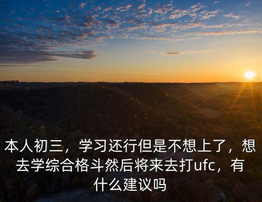 本人初三，學(xué)習(xí)還行但是不想上了，想去學(xué)綜合格斗然后將來(lái)去打ufc，有什么建議嗎