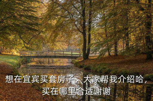 李子達在宜賓哪里,宜賓未來的城市中心在哪里