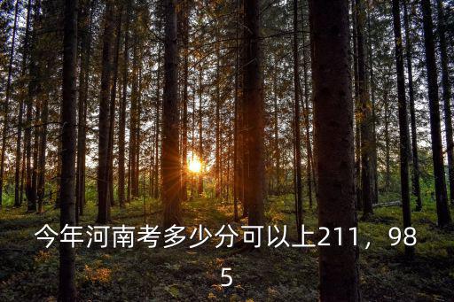 今年河南考多少分可以上211，985