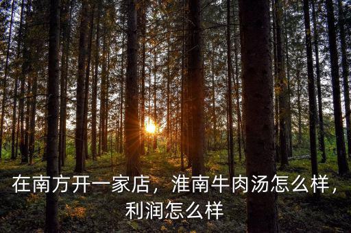 開淮南牛肉湯的一年能掙多少錢,淮南牛肉湯怎么樣