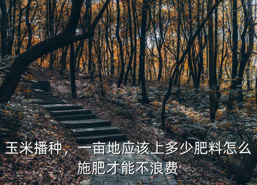 復(fù)合肥上玉米每畝多少,一畝地應(yīng)該上多少肥料