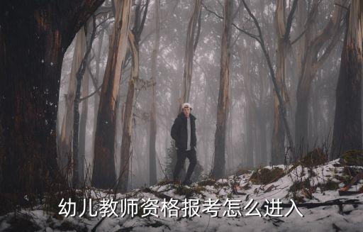 宜昌幼師證怎么報名,考幼師資格證怎么在網上報名