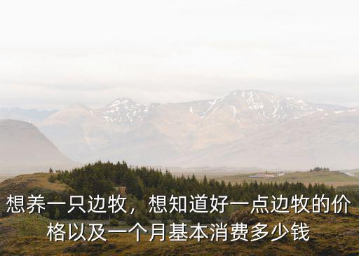 想養一只邊牧，想知道好一點邊牧的價格以及一個月基本消費多少錢