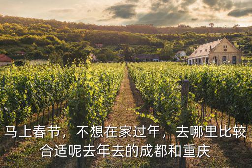 馬上春節，不想在家過年，去哪里比較合適呢去年去的成都和重慶