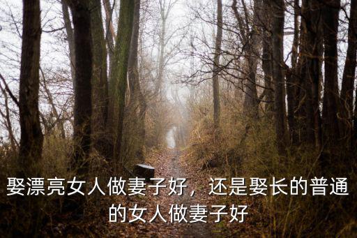 娶漂亮女人做妻子好，還是娶長的普通的女人做妻子好
