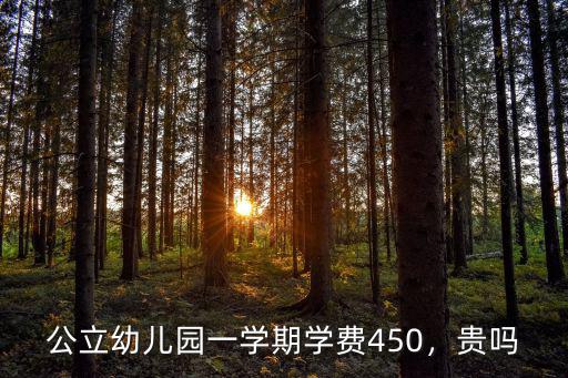 池州幼兒園多少錢一學期,你們當地幼兒園一學期多少錢