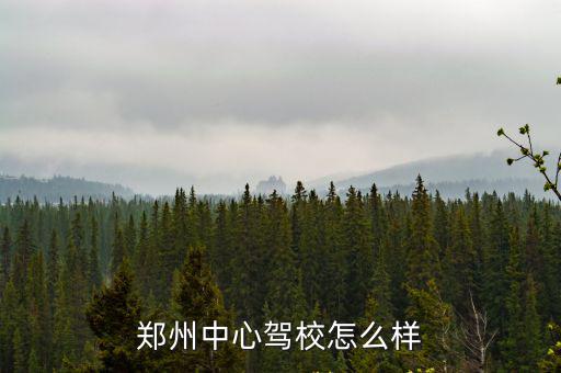 鄭州中心駕校怎么樣