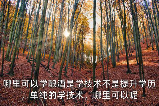成都哪里有學(xué)釀酒技術(shù)的,哪里可以學(xué)釀酒