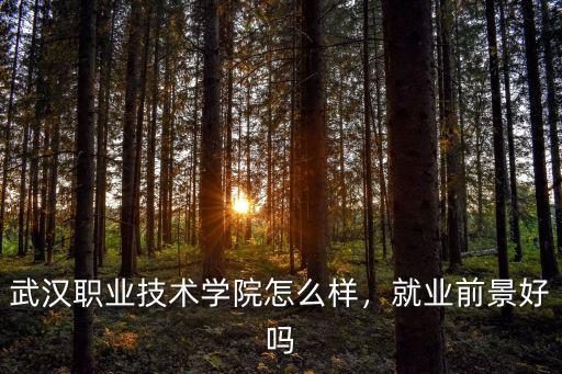 武漢職業(yè)技術(shù)學(xué)院怎么樣，就業(yè)前景好嗎