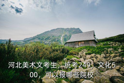 河北美術聯考分多少可報一本大學,河北美術聯考249分