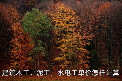建筑木工，泥工，水電工單價怎樣計算