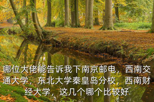 東北大學秦皇島分校博士點多少,東北大學秦皇島分校