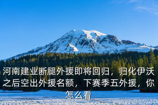河南建業外援伊沃怎么走了,河南建業斷腿外援即將回歸