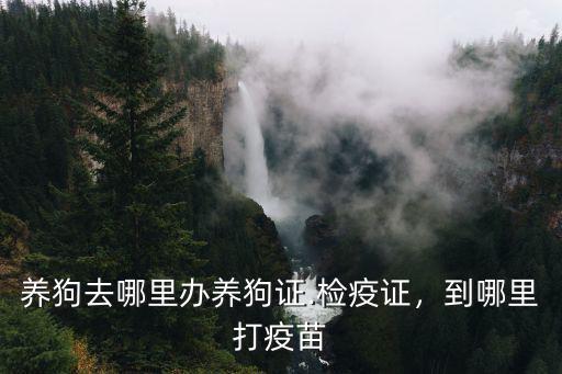 成都寵物檢疫證去哪里辦,成都現在賣寵物