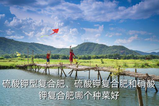 硫酸鉀型復(fù)合肥、硫酸鉀復(fù)合肥和硝酸鉀復(fù)合肥哪個(gè)種菜好