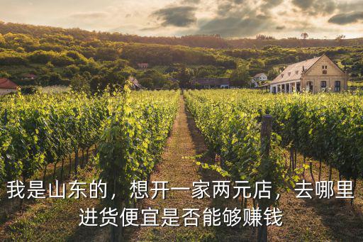 我是山東的，想開一家兩元店，去哪里進貨便宜是否能夠賺錢