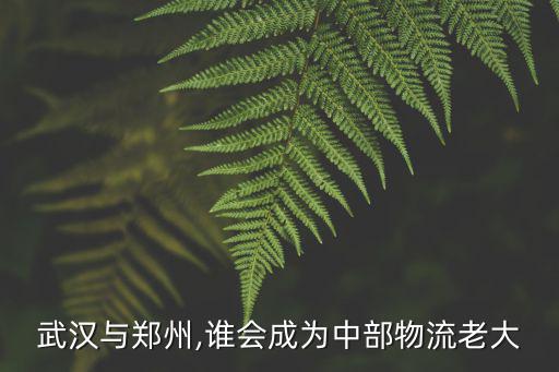 武漢云象物流怎么樣,武漢國際物流前景怎么樣