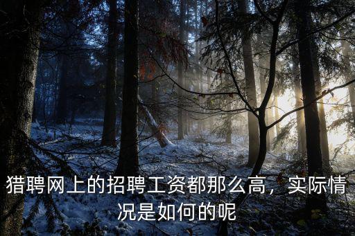 武漢獵聘網上班怎么樣知乎,獵聘這款求職軟件怎么樣