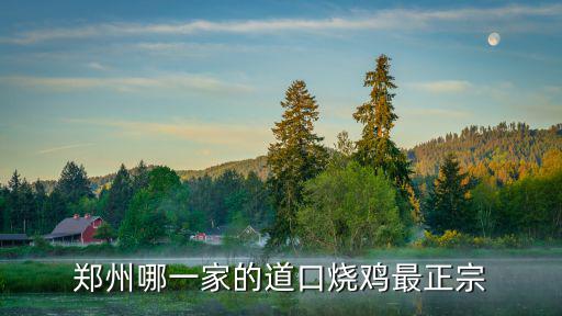 鄭州哪一家的道口燒雞最正宗