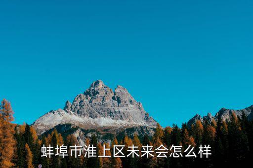 蚌埠淮上區(qū)車位多少錢,事發(fā)淮上區(qū)小蚌埠