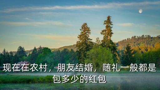 阜陽結婚隨紅包多少,隨禮一般都是包多少的紅包