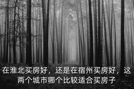 在淮北買房好，還是在宿州買房好，這兩個城市哪個比較適合買房子